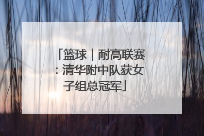 篮球｜耐高联赛：清华附中队获女子组总冠军