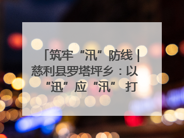 筑牢“汛”防线｜慈利县罗塔坪乡：以“迅”应“汛” 打赢暴雨防御战