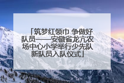 筑梦红领巾 争做好队员——安徽省龙亢农场中心小学举行少先队新队员入队仪式