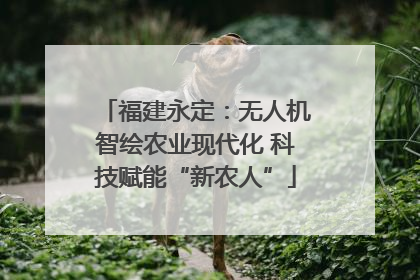 福建永定：无人机智绘农业现代化 科技赋能“新农人”