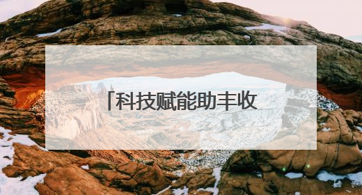 科技赋能助丰收 全国麦收由南到北有序推进