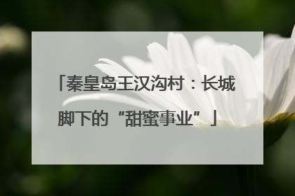 秦皇岛王汉沟村：长城脚下的“甜蜜事业”
