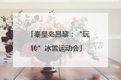 秦皇岛昌黎：“玩转”冰雪运动会