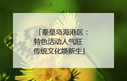 秦皇岛海港区：特色活动人气旺 传统文化焕新生