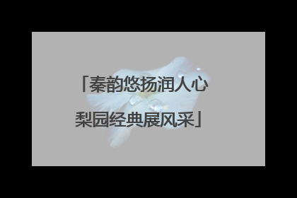 秦韵悠扬润人心 梨园经典展风采