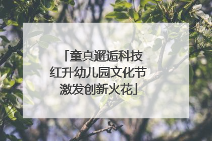 童真邂逅科技 红升幼儿园文化节激发创新火花