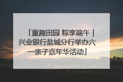 童趣田园 粽享端午｜兴业银行盐城分行举办六一亲子嘉年华活动