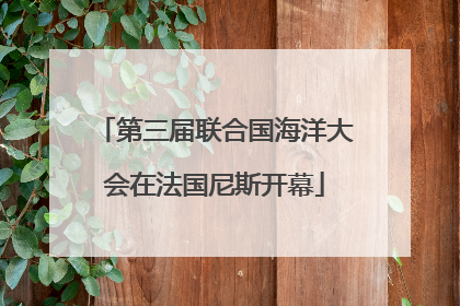第三届联合国海洋大会在法国尼斯开幕