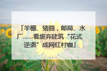 羊棚、猪圈，邮局、水厂……看废弃建筑“花式逆袭”成网红村咖