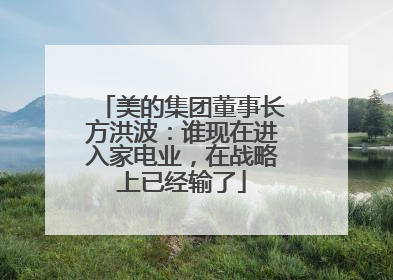 美的集团董事长方洪波：谁现在进入家电业，在战略上已经输了
