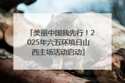美丽中国我先行！2025年六五环境日山西主场活动启动