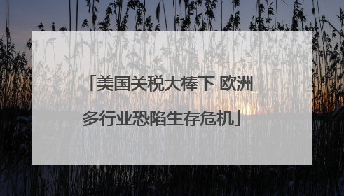 美国关税大棒下 欧洲多行业恐陷生存危机