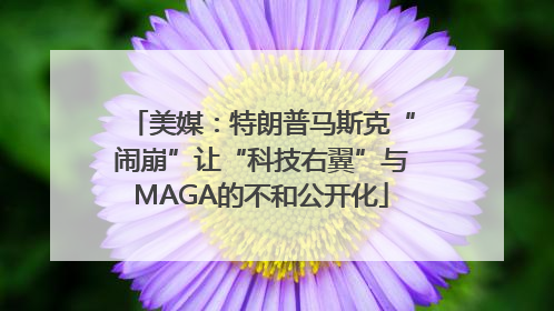 美媒：特朗普马斯克“闹崩”让“科技右翼”与MAGA的不和公开化
