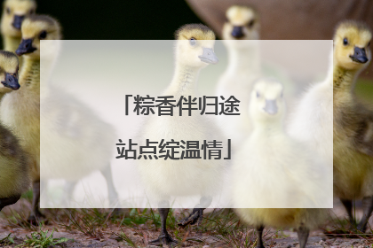 粽香伴归途 站点绽温情