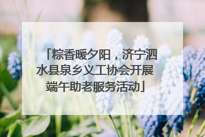 粽香暖夕阳，济宁泗水县泉乡义工协会开展端午助老服务活动