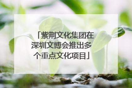 紫荆文化集团在深圳文博会推出多个重点文化项目