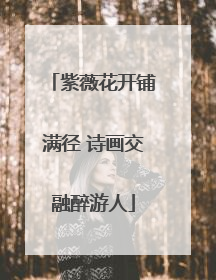 紫薇花开铺满径 诗画交融醉游人