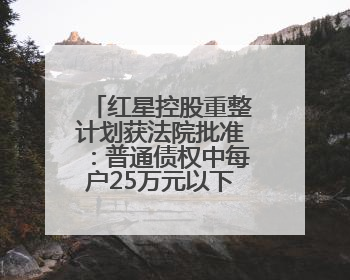 红星控股重整计划获法院批准：普通债权中每户25万元以下部分，六个月内全额现金清偿