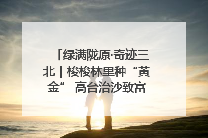 绿满陇原·奇迹三北｜梭梭林里种“黄金” 高台治沙致富很“从容”