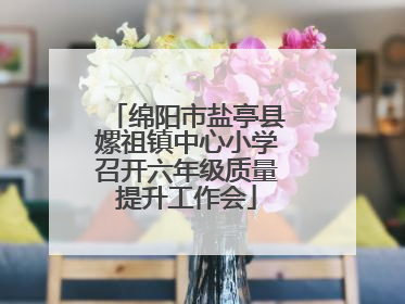 绵阳市盐亭县嫘祖镇中心小学召开六年级质量提升工作会