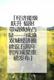 经济能级跃升 辐射带动效应凸显——成渝双城经济圈建设五周年智库成果重磅发布