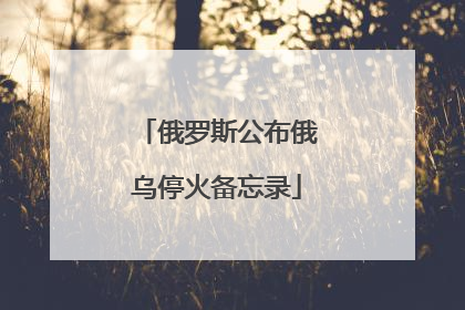 俄罗斯公布俄乌停火备忘录