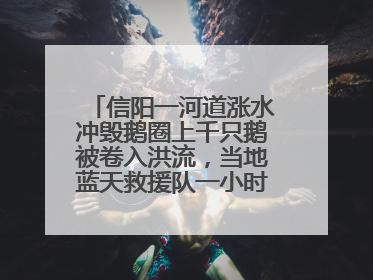 信阳一河道涨水冲毁鹅圈上千只鹅被卷入洪流，当地蓝天救援队一小时赶鹅上岸