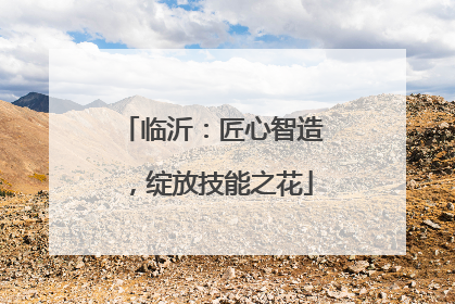 临沂：匠心智造，绽放技能之花