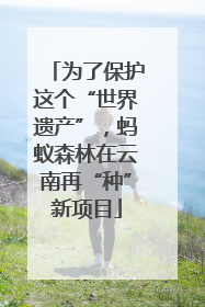 为了保护这个“世界遗产”，蚂蚁森林在云南再“种”新项目