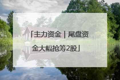 主力资金｜尾盘资金大幅抢筹2股