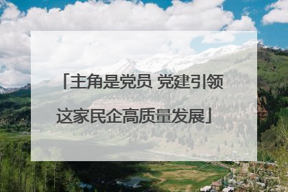主角是党员 党建引领这家民企高质量发展
