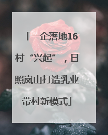 一企落地16村“兴起”，日照岚山打造乳业带村新模式