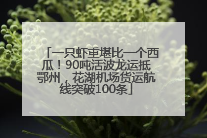 一只虾重堪比一个西瓜！90吨活波龙运抵鄂州，花湖机场货运航线突破100条