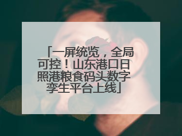 一屏统览，全局可控！山东港口日照港粮食码头数字孪生平台上线