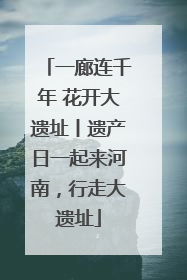 一廊连千年 花开大遗址丨遗产日一起来河南，行走大遗址