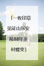 一枚印章见证山东安陵88年乡村蝶变