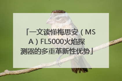 一文读懂梅思安（MSA）FL5000火焰探测器的多重革新性优势