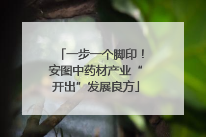 一步一个脚印！安图中药材产业“开出”发展良方