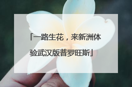 一路生花，来新洲体验武汉版普罗旺斯