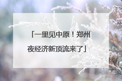 一里见中原！郑州夜经济新顶流来了