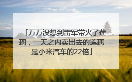 万万没想到雷军带火了莲藕，一天之内卖出去的莲藕是小米汽车的22倍