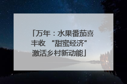 万年：水果番茄喜丰收 “甜蜜经济”激活乡村新动能