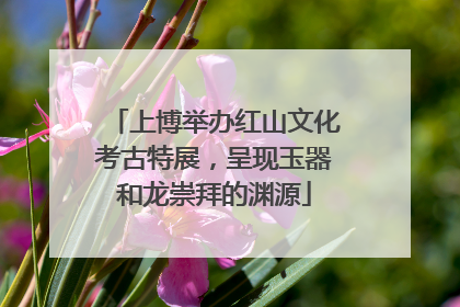 上博举办红山文化考古特展，呈现玉器和龙崇拜的渊源