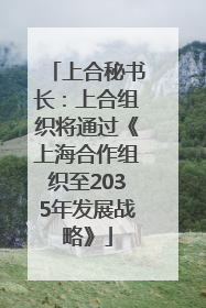 上合秘书长：上合组织将通过《上海合作组织至2035年发展战略》