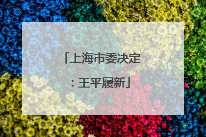 上海市委决定：王平履新