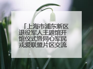 上海市浦东新区退役军人主题馆开馆仪式暨同心军民戎爱联盟片区交流会举行