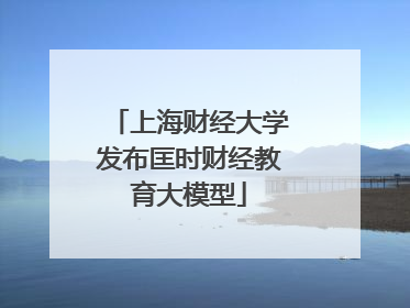 上海财经大学发布匡时财经教育大模型