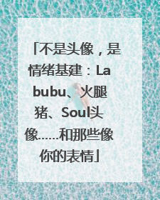 不是头像，是情绪基建：Labubu、火腿猪、Soul头像……和那些像你的表情