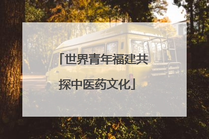 世界青年福建共探中医药文化