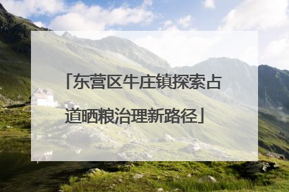 东营区牛庄镇探索占道晒粮治理新路径